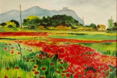 09-Champ-de-Coquelicots-33-