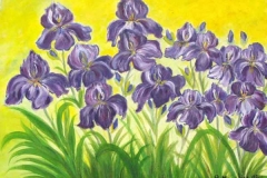 09-Les-iris-25X20