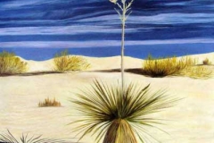 17-Yucca-du-desert-54X65