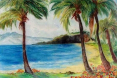 28-Plage-des-Caraibes