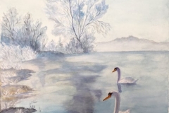 Les_Cygnes