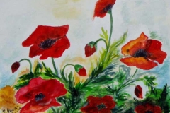 10-Quelques-coquelicots