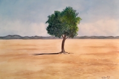 Arbre solitaire dans désert